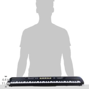 ارگ موزیکال BigFun – مدل BF-830C